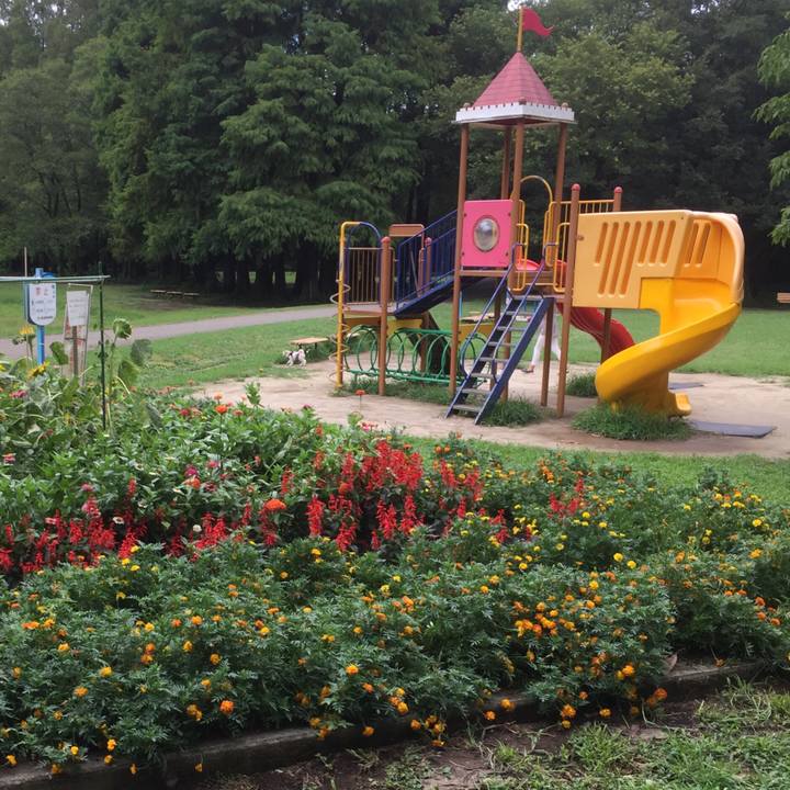 A54e6cd7 df37 4b55 9fd4 7584388f2c39 1532848099848