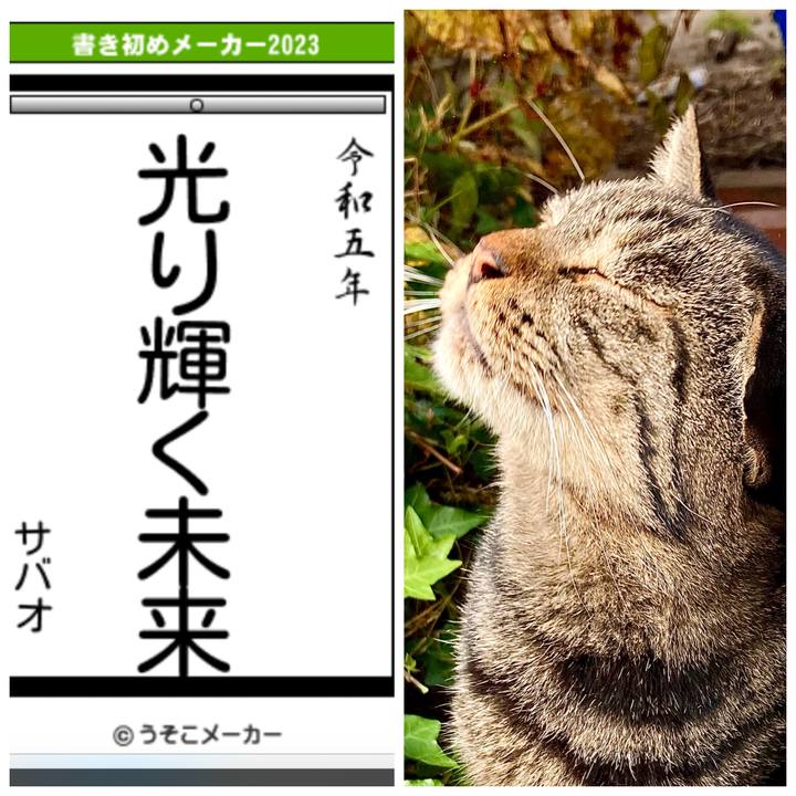 A54e71ba 1680 4ff6 aa85 32b586e264f6 1672642968092