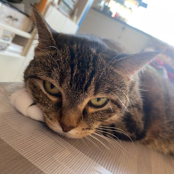 A54e9858 fc4f 4c62 867f bb155b62a992 1625898253046