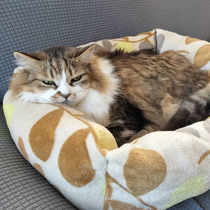 A54eaf06 682f 4578 a86c 5a37fd3a6ff4 1766974530144