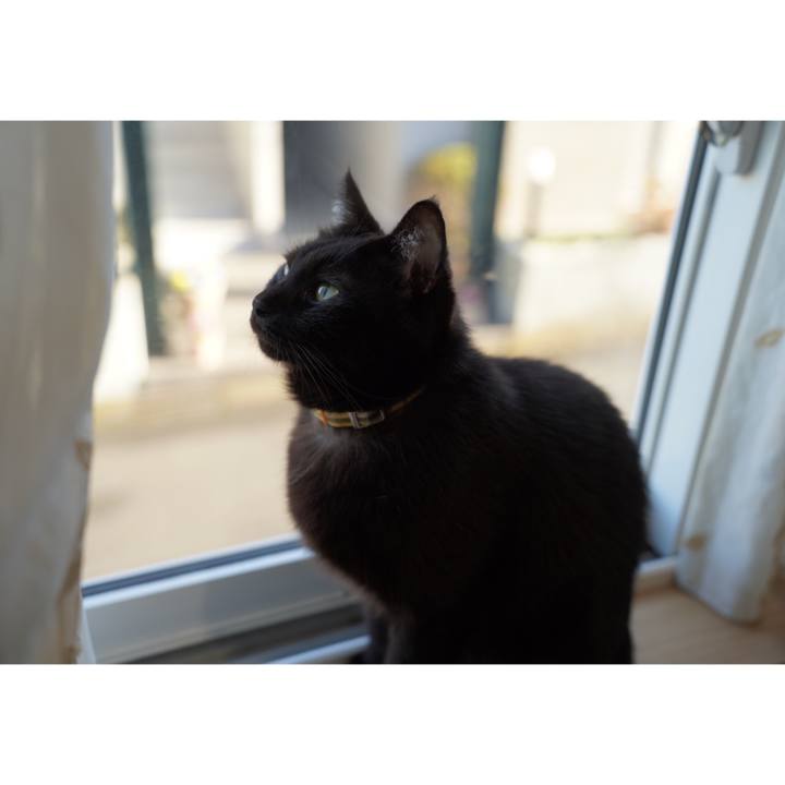 A54f3585 715e 4b6c a56b 4d0aad14a7f7 1669074881550