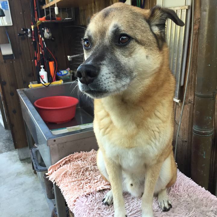 A54f3a17 232b 4f8d 8dc3 af296b1a90d3 1511841032867