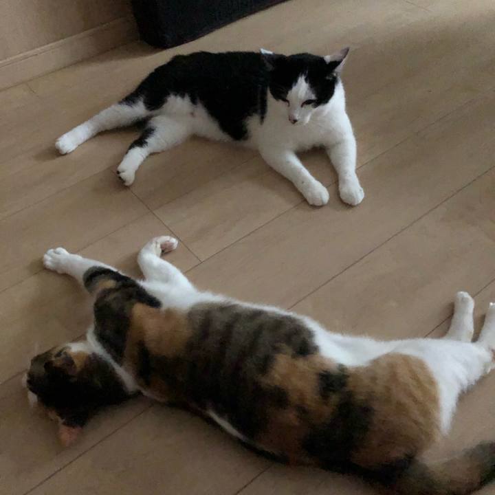 A54f883e 558e 4c97 aaf5 35f68381ca25 1594066676033