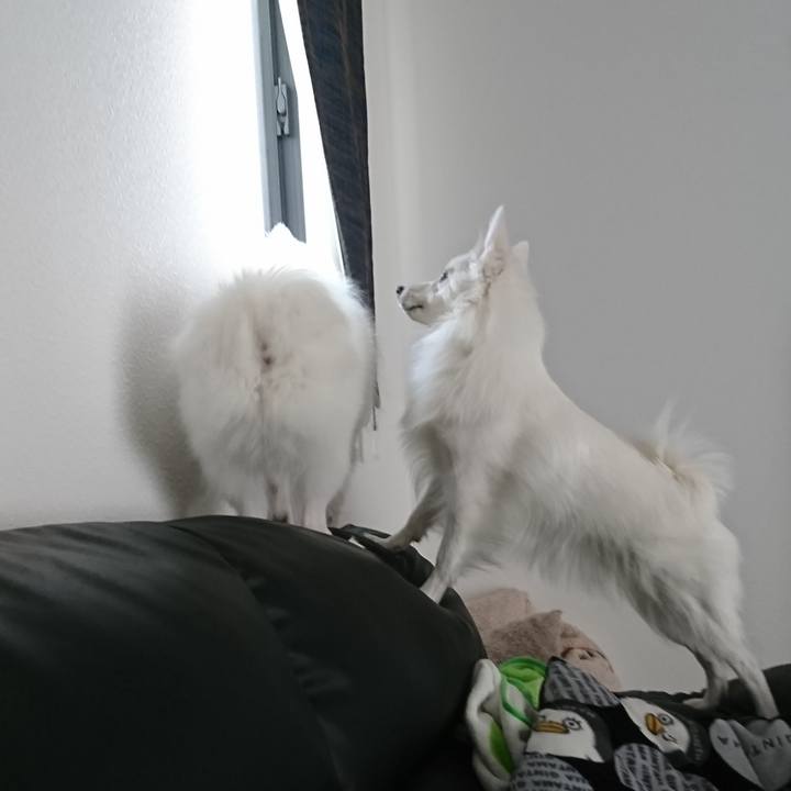 A54ffa09 3222 4876 9fe6 9cc149440049 1555814173542