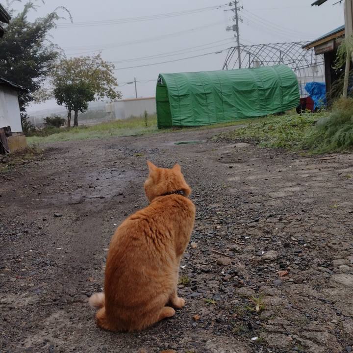 A5503d1a b33a 4dd9 8f38 a49b5c967d61 1665264830332