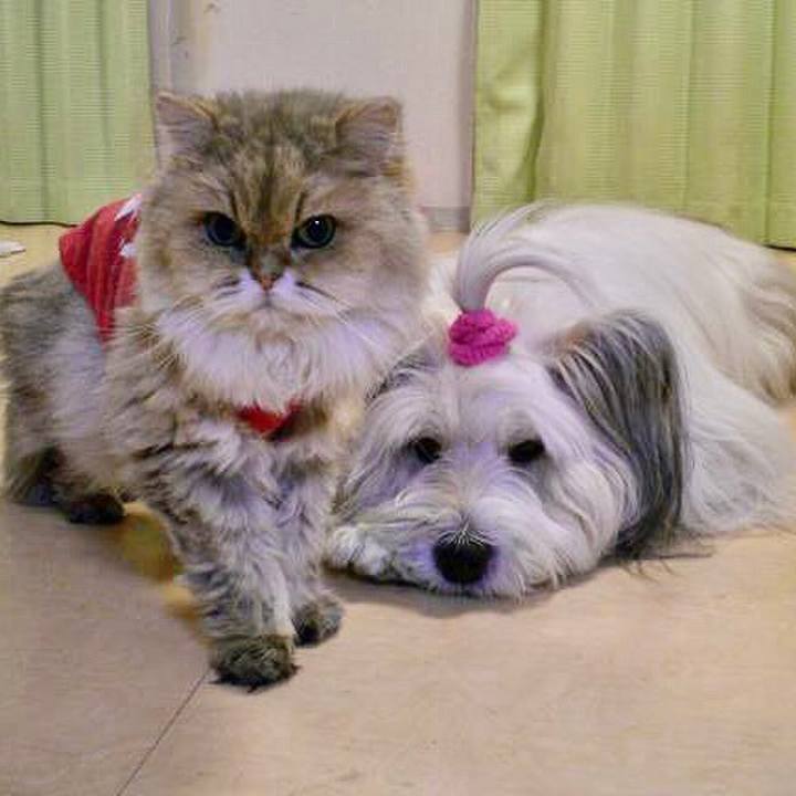 A5503e17 e42c 4be4 9ab2 2b756e678693 1599206417755