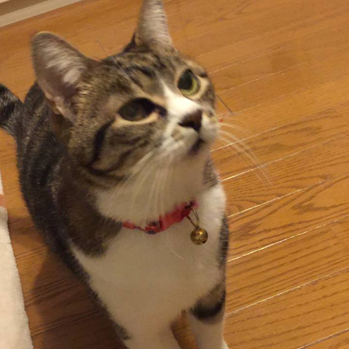 A5505eb9 b156 4759 94dd e322b41900a5 1554044736086