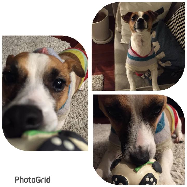 A5508bea 486c 433a b0f2 e17c024aecc7 1700489688917