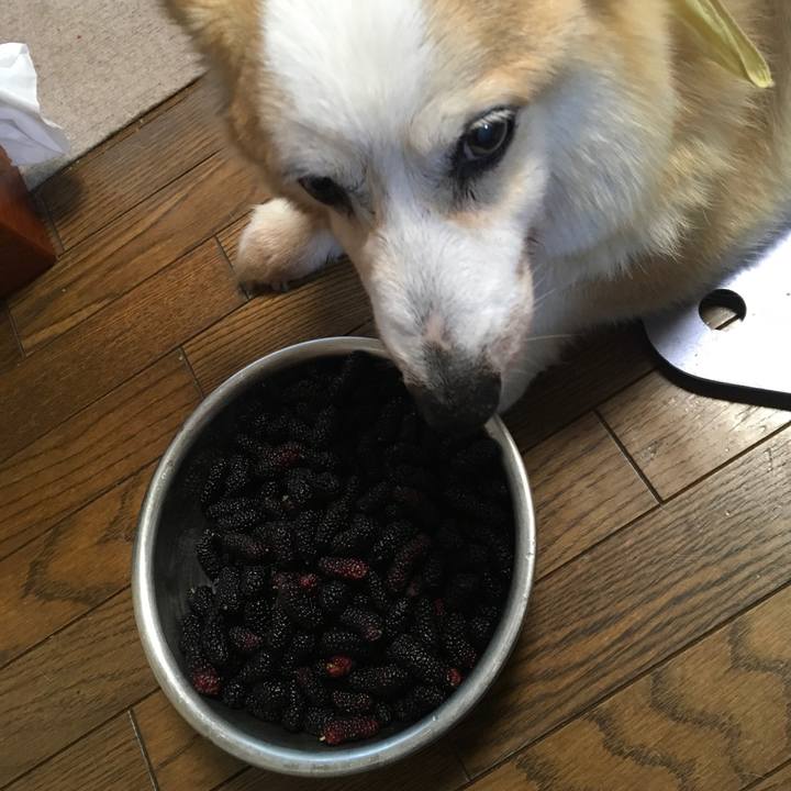 A5508dd3 f940 47dd 8f14 267d05d190fd 1558949426491