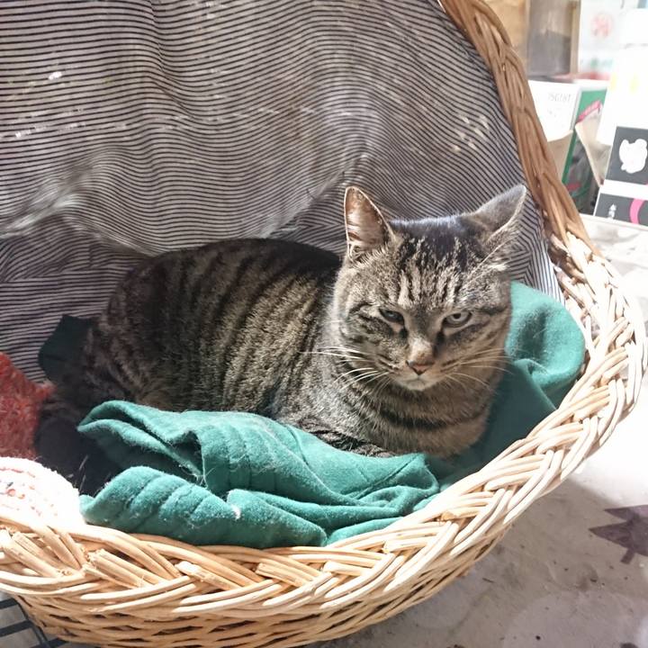 A550a342 c551 4ab7 bcd1 71ea13a64983 1643556088204