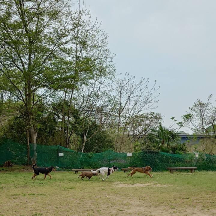 A550a8c6 8a80 40f8 b277 82945dcca723 1745110765388