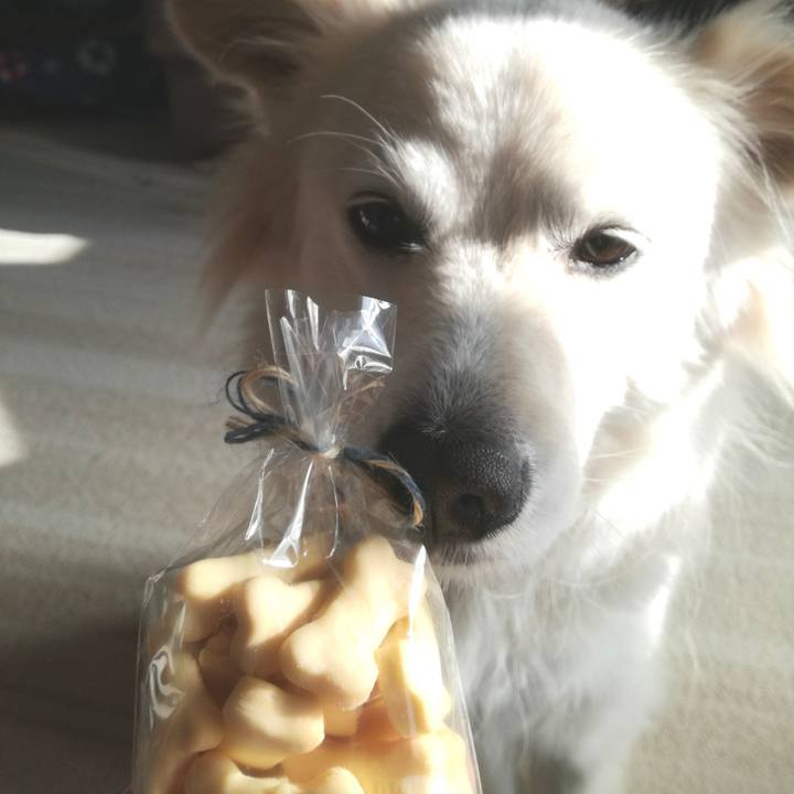 A550c9b2 31e3 436c b049 60c7eac18390 1518567462377