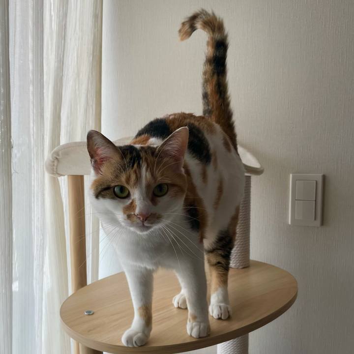 A550e37f 0bbc 44cf a71d fd38b19f88f1 1618110852150