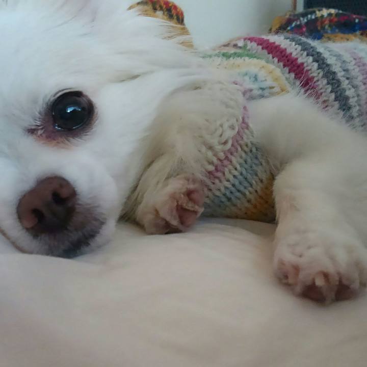 A550ecb7 d269 4f78 8bc6 f57e61cdccb3 1519006820193