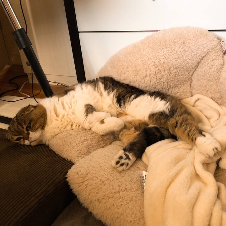 A5512f27 8ded 4f77 a9f3 05d159d43e7c 1552292460444