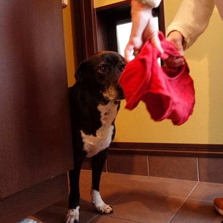 A55137c6 7dfd 4eb3 9efc faa547c8c17c 1740011877843