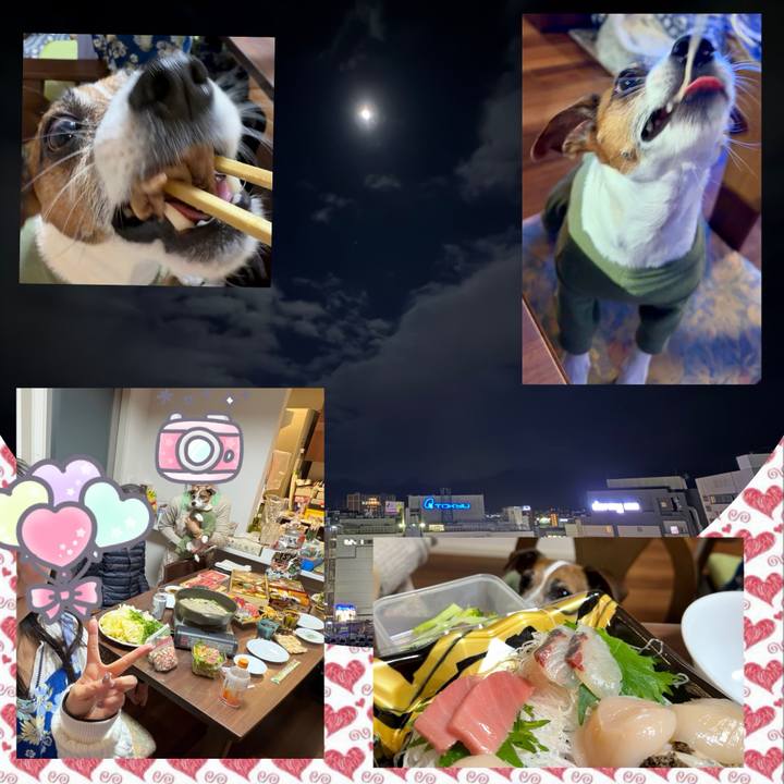 A55148a5 3917 4b1e afaf 77b5538c52f2 1767201742605