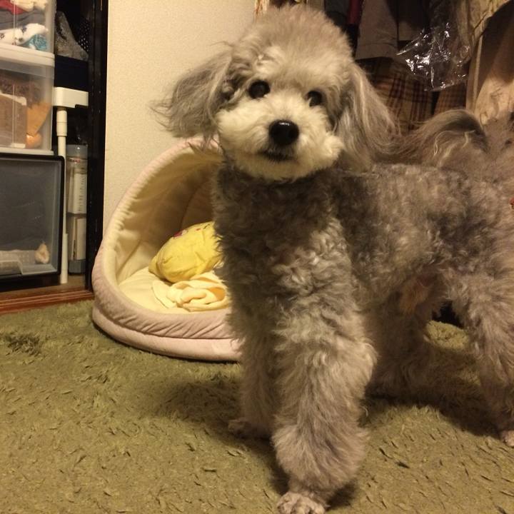 A5514bd5 abe4 4e49 87ad 0d0632a2be0a 1737951815117