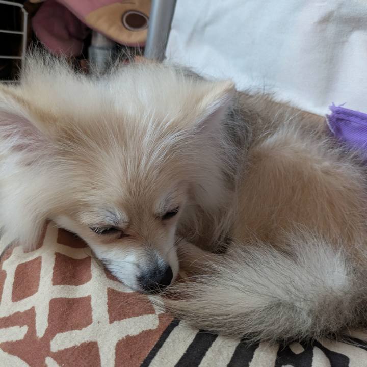 A55167dd 6bc5 4385 8c64 696f7d670da0 1754374983722