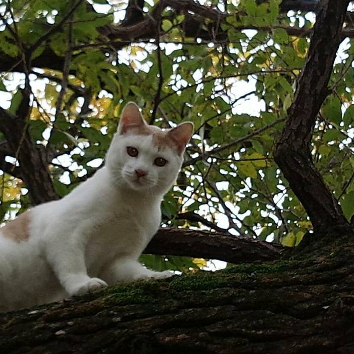 A5518aa1 f629 47c1 ade8 c18857c531e5 1510632061566