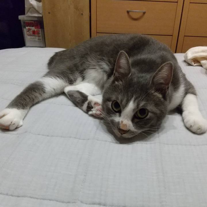 A5519a67 61b6 49fd bbce 37acc6049e10 1601979923881