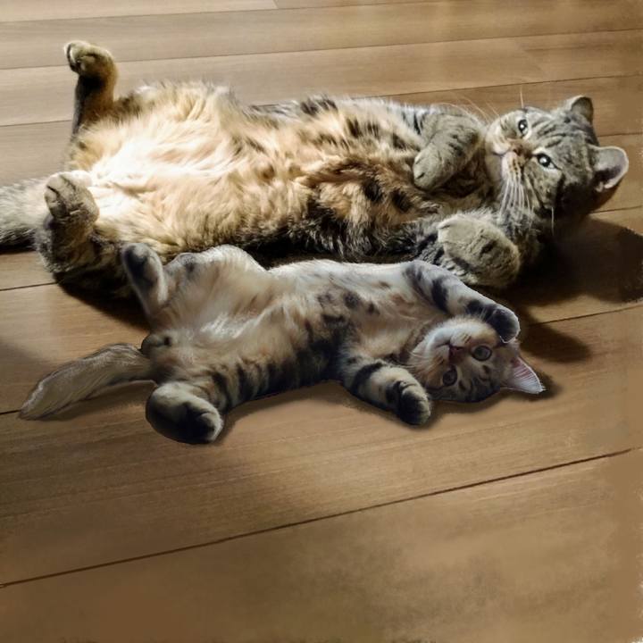 A5519dce c874 481f 8e16 cbabf2d7b8e4 1663793209036