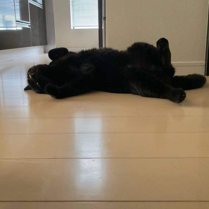 A551d648 7793 4a66 b66b 03bf5630d01c 1758268428531