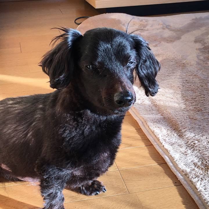 A5520998 be75 4a7d bcbe f7578ef88665 1552861683152