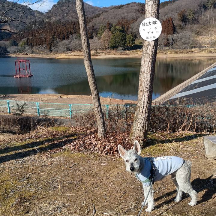 A5522786 ab26 4d5f b377 48e0f86ec71a 1770897547865