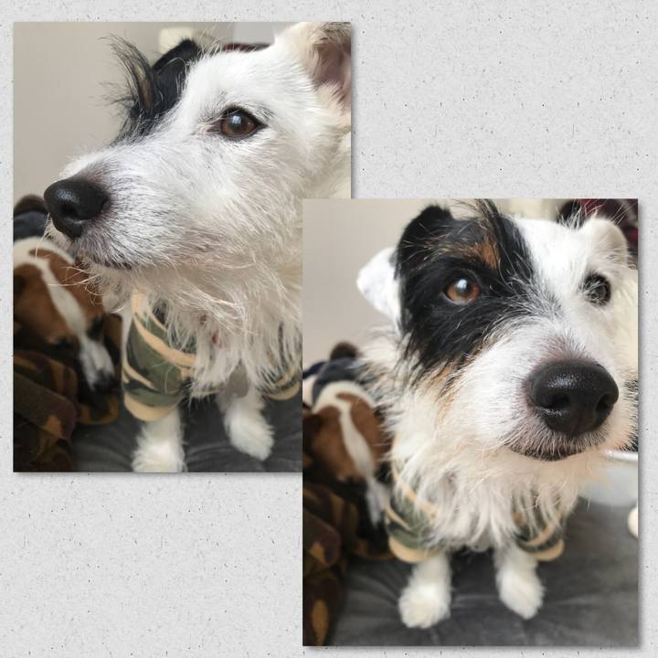 A552359e 506d 472f 9525 771e01ba3cf8 1508890020575