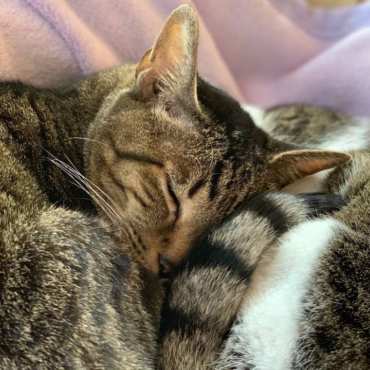 A5524fd3 d213 4830 933c f755178d36c0 1544924677217