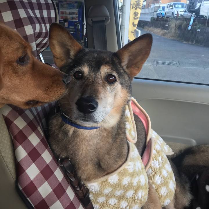 A5525c88 6c2d 4297 800b 1eae575af7d3 1544998846052