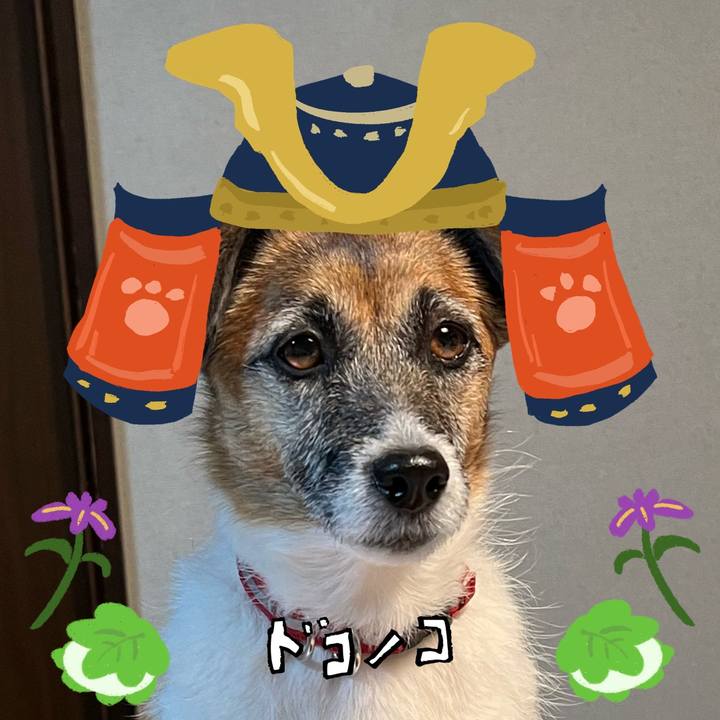 A552eb29 be00 44eb a3e6 3fa4febb30ef 1714887819815