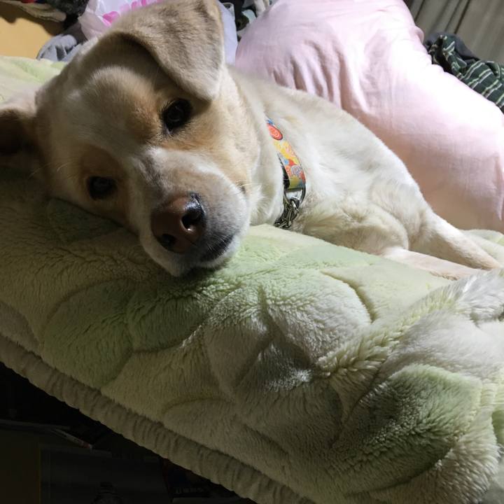 A5536742 b469 42b0 99a5 e645b5f960f3 1516188994443