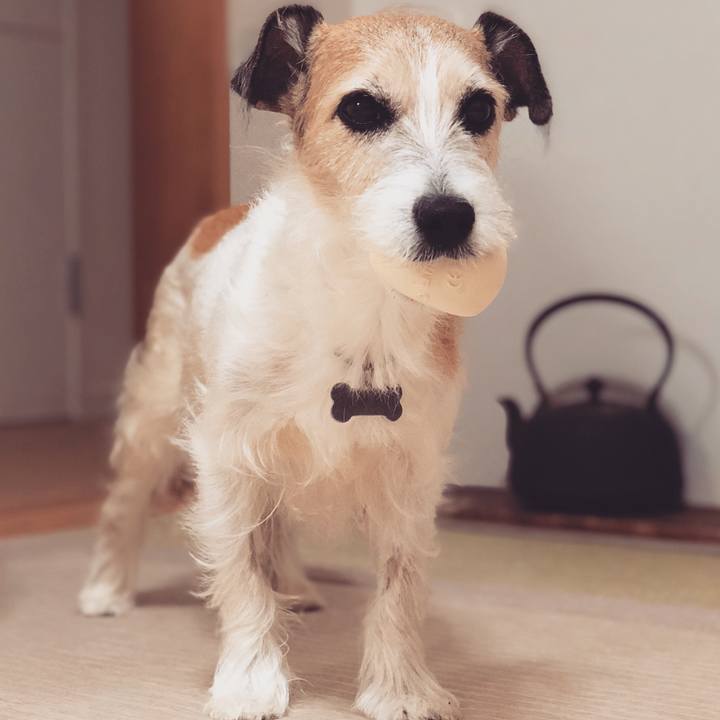 A5538de9 ae44 4309 88f2 0fb2aabeee4c 1539649436437