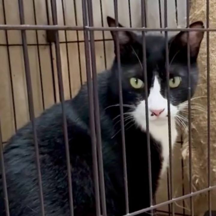 A553c4cf a076 4754 b489 7103db571360 1753263245083