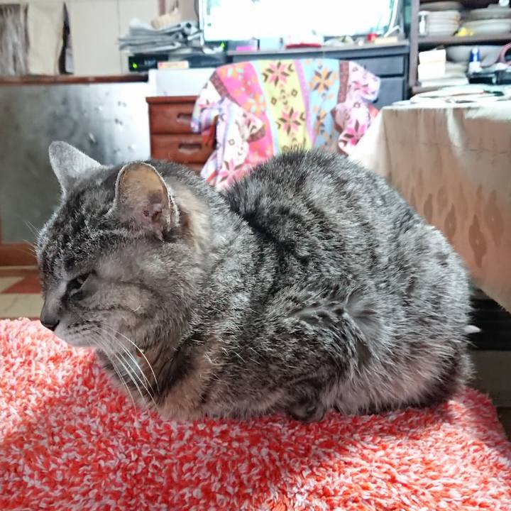 A5540445 0027 492c 8d49 6697bbfa1dc3 1584655356184