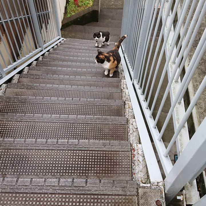 A5540507 3f71 4342 b846 211aaf957a63 1589931071253