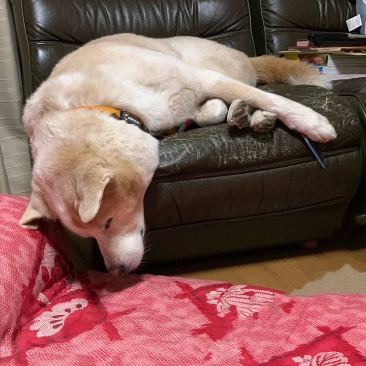 A55425c3 6d14 494b 911d 3375349f5c5f 1667651859439