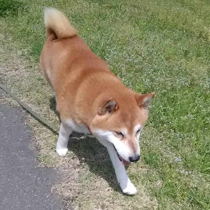 A5542740 647f 40a5 a9c5 8dfcabceb105 1682206617014