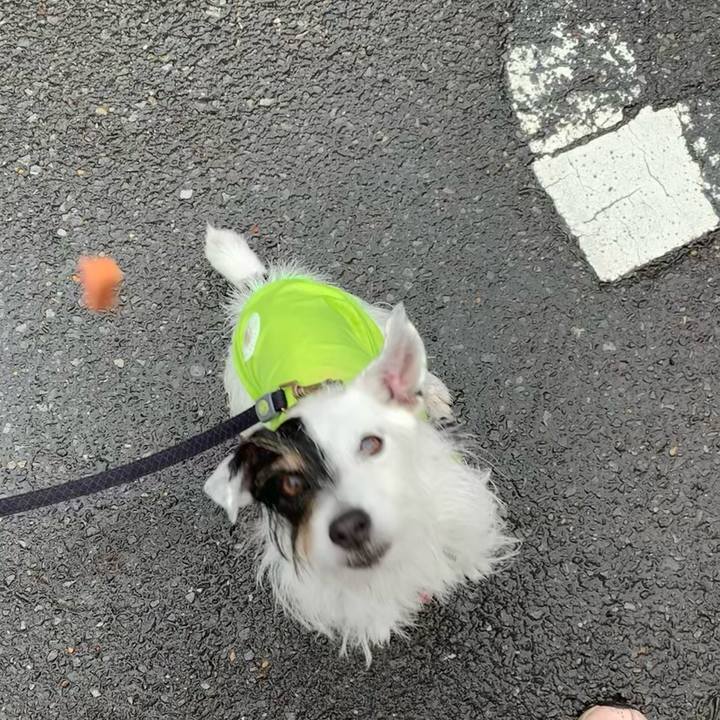 A5543462 6ff0 4bee 845e d421df8dcae6 1679970525851