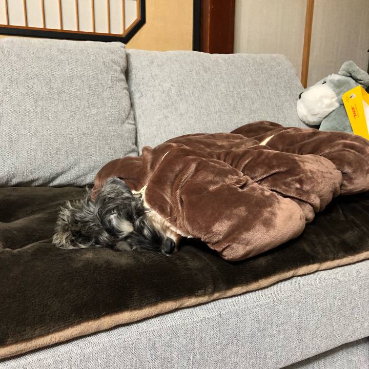 A5544443 c6f4 4c35 a960 4d32a978cf47 1572994564078