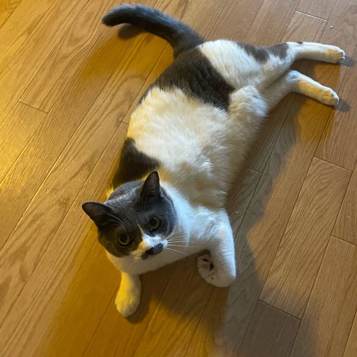 A55448f2 5500 4717 8803 ed375700a52a 1753577542807