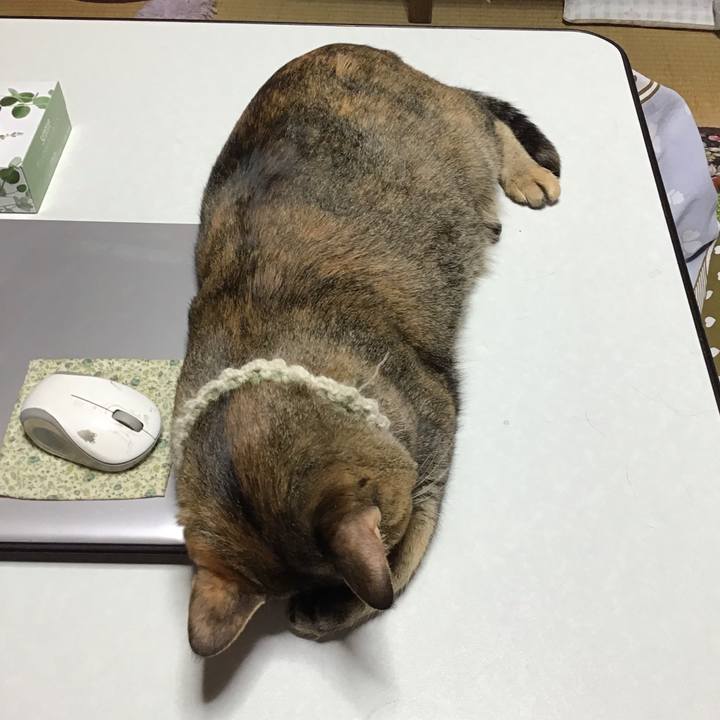 A5545320 19be 407e badf 6f0326ba79e5 1647904878585