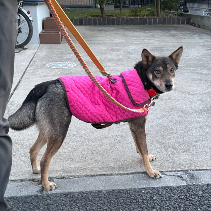 A554b829 824e 4b2f 9bb0 c0f6646cb163 1770123553967