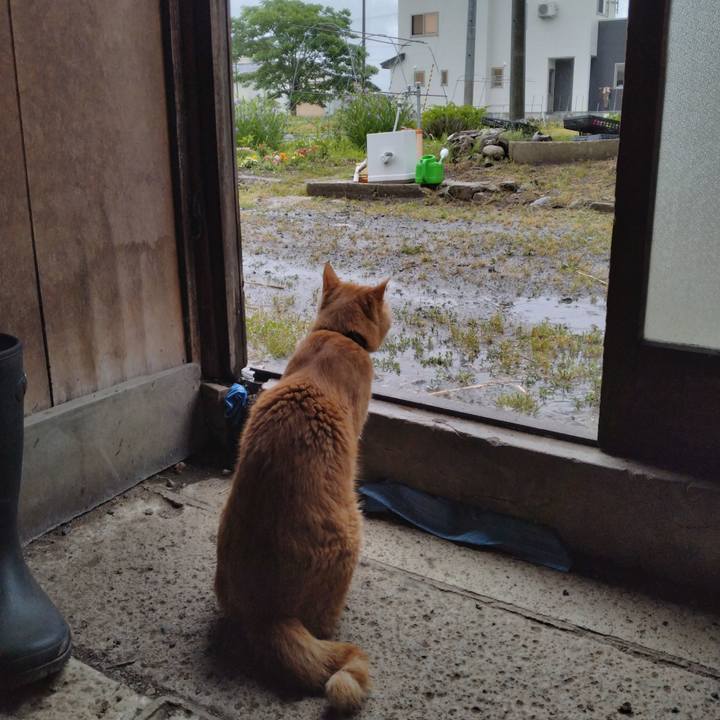 A554d626 334d 41ed 90c1 d041cec9af26 1686265257792