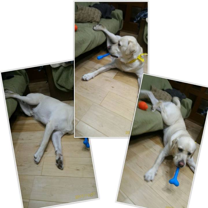 A554d76d 0305 4ac3 b5b8 93aadbcdf136 1512749958511