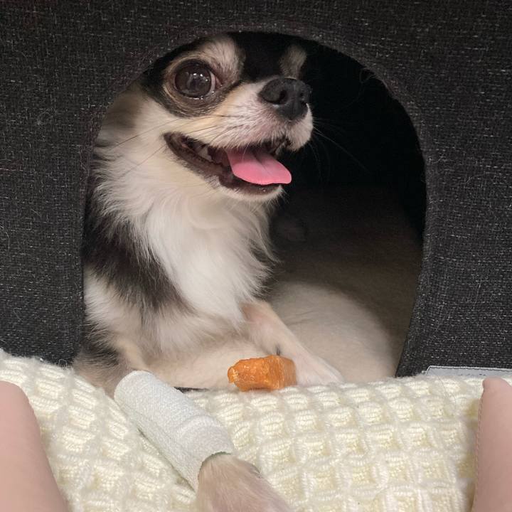 A5550353 ef7c 47c9 96ec 83fb52fdf397 1659238733636