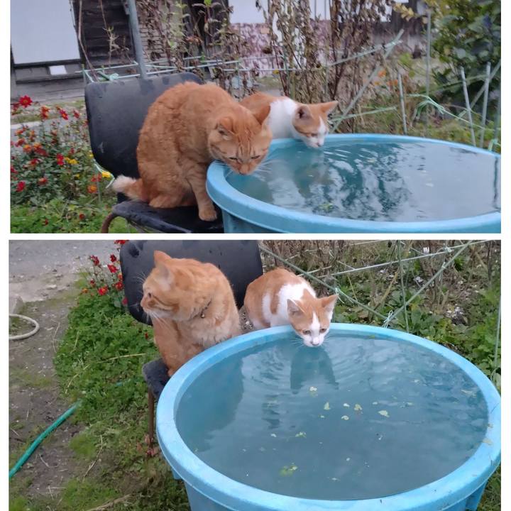 A555121b 23c5 4103 b712 140118dbe43f 1729242516110