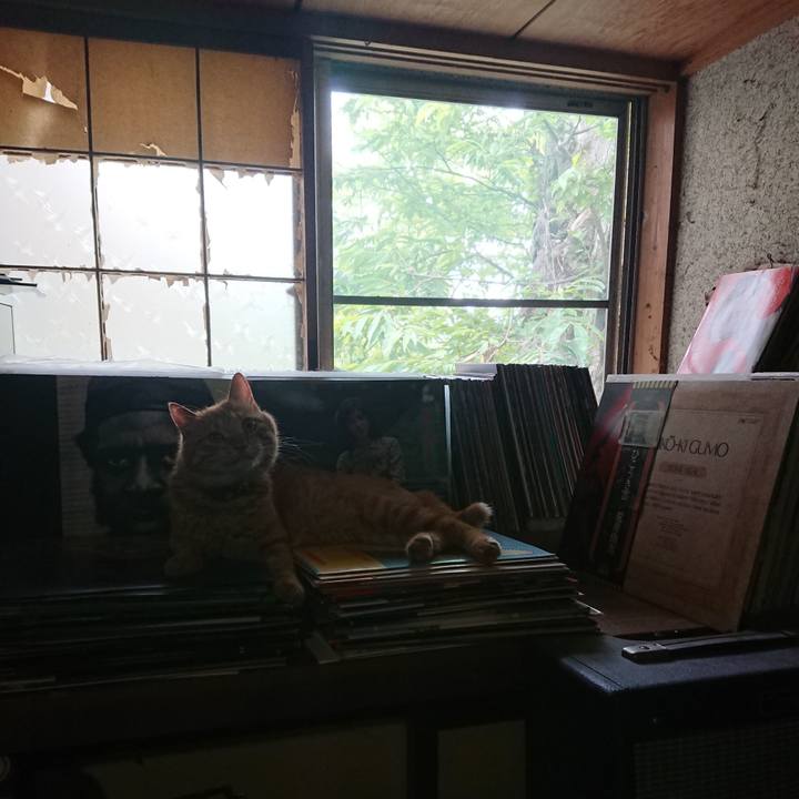 A555485a 6de5 43e2 8885 136da25da9e3 1657937518956